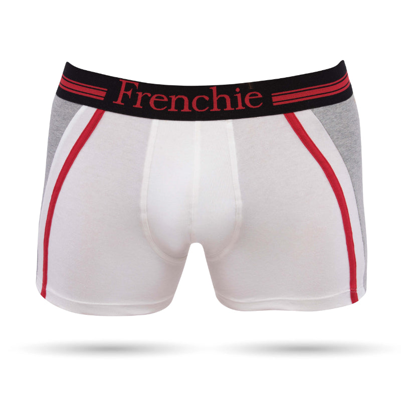 Zenspun Men's V-Cut Frenchie Cotton Brief at Rs 537/set